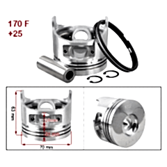 Piston Sekman Takımı 170F-5Hp 0.25