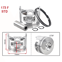 Piston Sekman Takımı 173F-6Hp Std