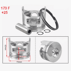 Piston Sekman Takımı 173F-6Hp 0.25