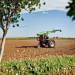 Taral 210M Çapa Makinesi Honda GP200