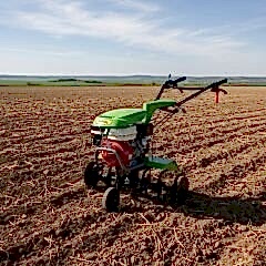 Taral 210M Çapa Makinesi Honda GX200