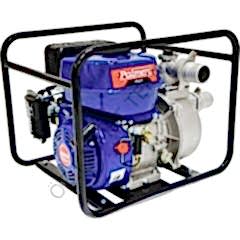 Palmera PA20T Eur5 Su Motoru 2''