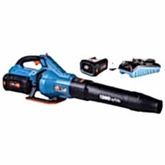 Senix BLAX6-M1-EU Akülü Üfleme Makinesi 6.0Ah Akü+Şarj Cihazı